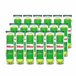 Wilson Starter Green Tennis Ball - Case (18 Cans / 72 Balls)