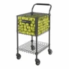 Gamma Brute Teaching Cart